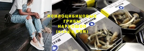 сатива Алексеевка