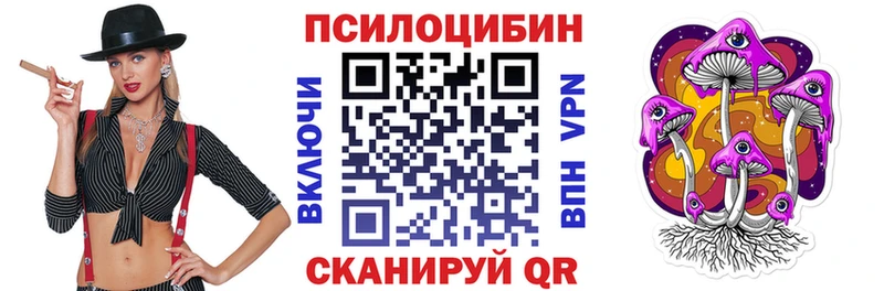 Псилоцибиновые грибы GOLDEN TEACHER  Купить где  Высоцк 
